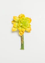 Load image into Gallery viewer, Artificial Echeveria Succulent Pick in Yellow &amp; Green - 2.5&quot; Wide
