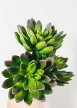 Load image into Gallery viewer, Fake Succulent Pick in Green Burgundy - 4&quot; Wide
