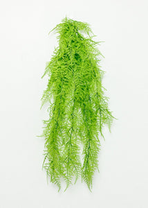 Artificial Indoor/Outdoor Hanging Asparagus Fern - 33" Long