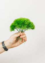 Load image into Gallery viewer, Mini Plastic Moss Grass Pick - 5.5" Tall
