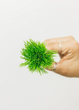 Load image into Gallery viewer, Mini Plastic Moss Grass Pick - 5.5" Tall
