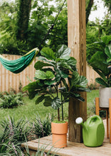 Load image into Gallery viewer, Fake Fiddle Fig Leaf Tree Potted Floor Plant - 3&#39; Tall
