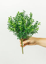 Load image into Gallery viewer, Fake Indoor/Outdoor Plastic Boxwood Plant - 12&quot;
