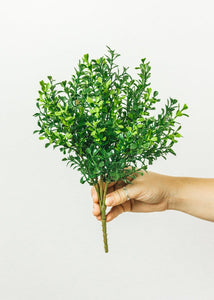 Fake Indoor/Outdoor Plastic Boxwood Plant - 12"