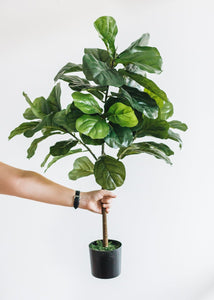 Fake Fiddle Fig Leaf Tree Potted Floor Plant - 3' Tall