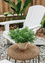 Load image into Gallery viewer, Fake Indoor/Outdoor Plastic Boxwood Plant - 12&quot;

