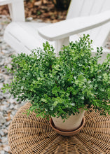 Load image into Gallery viewer, Fake Indoor/Outdoor Plastic Boxwood Plant - 12&quot;
