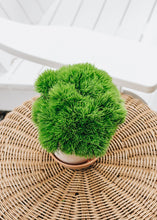 Load image into Gallery viewer, Mini Plastic Moss Grass Pick - 5.5" Tall
