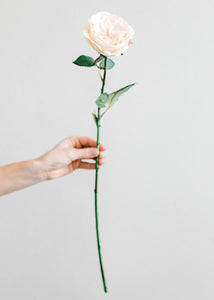 Artificial English Cabbage Rose in Pastel Peach Pink - 20.5" Tall