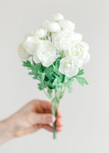 Load image into Gallery viewer, Mini White Cream Silk Ranunculus Bush - 10"
