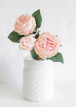 Load image into Gallery viewer, Natural Touch Artificial Roses in Blush - 21" Tall

