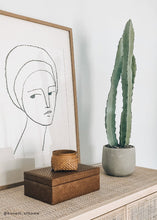 Load image into Gallery viewer, Artificial Cactus House Plant in Pot - 25&quot; Tall
