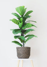 Load image into Gallery viewer, Fake Fiddle Leaf Fig Tree Floor Plant in Pot - 31.5&quot; Tall
