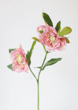 Load image into Gallery viewer, Real Touch Artificial Helleborus in Pink
