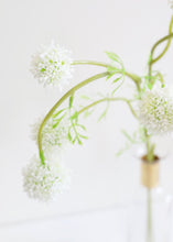 Load image into Gallery viewer, Artificial Fall Flowers Allium in Cream White
