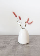 Load image into Gallery viewer, Dried Bunny Tail Grass in Mauve Pink
