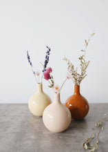 Load image into Gallery viewer, Dried Flowers Bouquet
