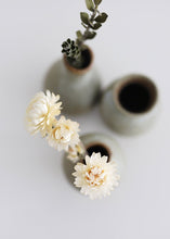 Load image into Gallery viewer, Set of 3 - Mini Glazed Stoneware Ceramic Bud Vases - 3-4" Tall
