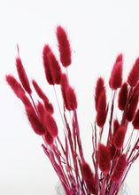 Load image into Gallery viewer, Burgundy Dried Bunny Tail
