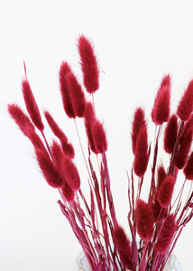 Burgundy Dried Bunny Tail