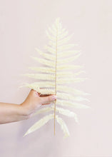 Load image into Gallery viewer, Pack of 5 - Preserved Ferns in Cream
