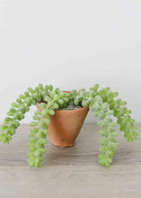Load image into Gallery viewer, Mini Terracotta Flower Pot 2.5" Tall x 3" Wide
