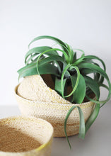 Load image into Gallery viewer, Set of 3 Yellow Beige Woven Maize Planter Baskets - 4-6" Tall

