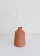 Load image into Gallery viewer, Pack of 5 - Preserved Billy Buttons - Craspedia in White

