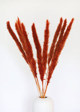 Load image into Gallery viewer, Pack 11 - Terracotta Brown Dried Pampas Bunch - 24-28"
