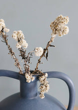Load image into Gallery viewer, Edelweiss Dried Flowers in Cream
