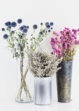 Load image into Gallery viewer, Dried Floral Coastal Echinops Globe Thistle in Blue Green
