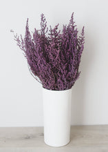 Load image into Gallery viewer, Preserved Stoebe in Violet

