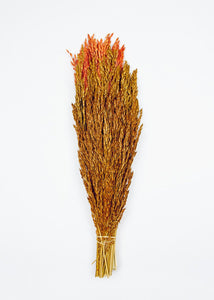 Dried Grass Bouquet in Warm Orange Yellow - 20" Tall