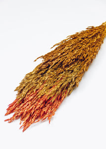 Dried Grass Bouquet in Warm Orange Yellow - 20" Tall