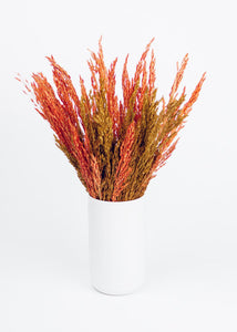 Dried Grass Bouquet in Warm Orange Yellow - 20" Tall