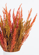 Load image into Gallery viewer, Dried Grass Bouquet in Warm Orange Yellow - 20&quot; Tall
