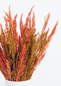 Dried Grass Bouquet in Warm Orange Yellow - 20" Tall