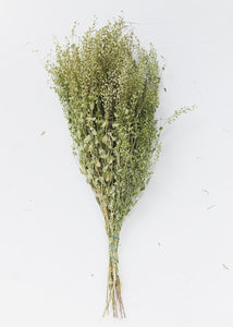Dried Lepidium Pepper Grass