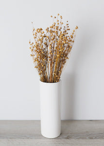 Dried Flax Grass