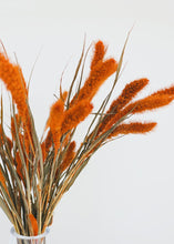 Load image into Gallery viewer, Dried Setaria Grass in Orange
