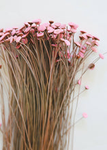 Load image into Gallery viewer, Pink Dried Floral Buttons
