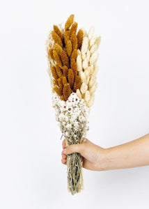 Dried Rust Phalaris Grass and Flower Bouquet - 19" Tall