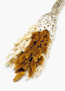 Dried Rust Phalaris Grass and Flower Bouquet - 19" Tall