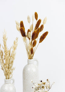 Dried Rust Phalaris Grass and Flower Bouquet - 19" Tall