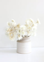 Load image into Gallery viewer, Natural Dried Everlastings
