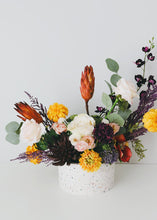 Load image into Gallery viewer, Pack of 6 - Dried Flower Protea Repens in Red Orange
