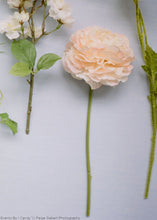 Load image into Gallery viewer, Large Blush Pink Ranunculus Flower - 37&quot;
