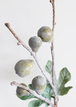 Load image into Gallery viewer, Artificial Green Fig Fruit Branch 28&quot;
