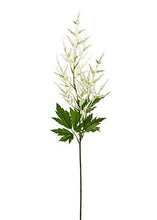 Load image into Gallery viewer, Cream Artificial Astilbe Flowers - 37&quot;
