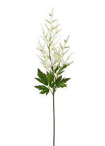 Cream Artificial Astilbe Flowers - 37"